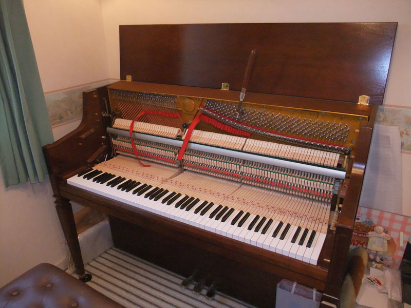 472-3.jpg